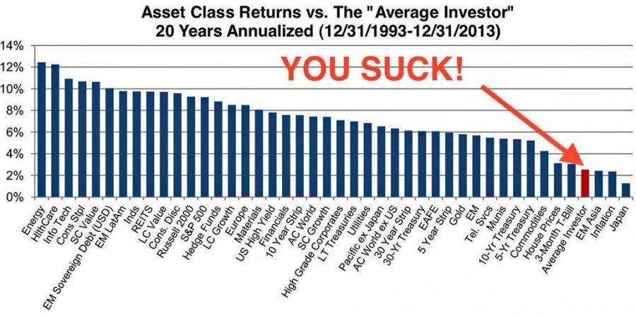 investor-you-suck